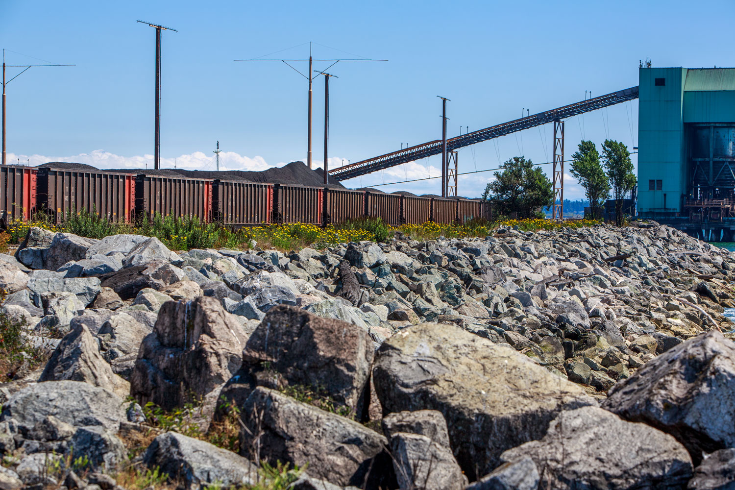 Home - Blue Water Rail Services